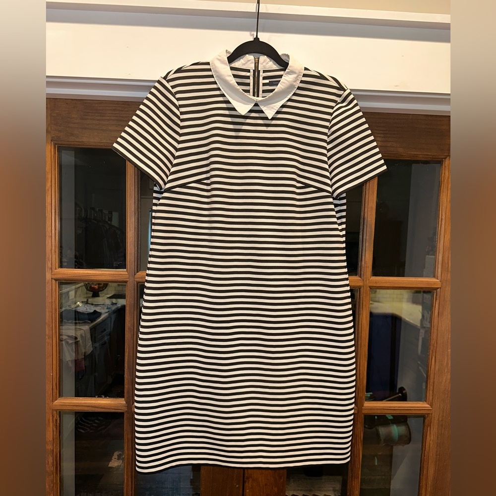 EUC Tommy Hilfiger Size Large Striped Black and White Collar Dress - Picture 2 of 11